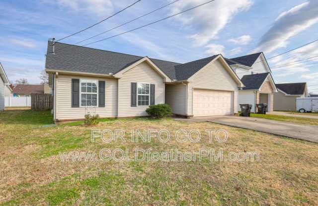 1226 Matterhorn Run - 1226 Matterhorn Run, Murfreesboro, TN 37130