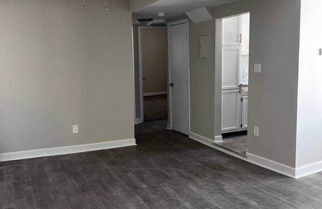 NEWLY AVAILABLE - RENOVATED 2 BR UNIT IN THE HEART OF DC WITH IN-UNIT LAUNDRY - 742 Brandywine Street Southeast, Washington, DC 20032