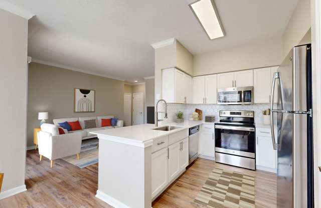 The Oasis Apartments Gallery 2