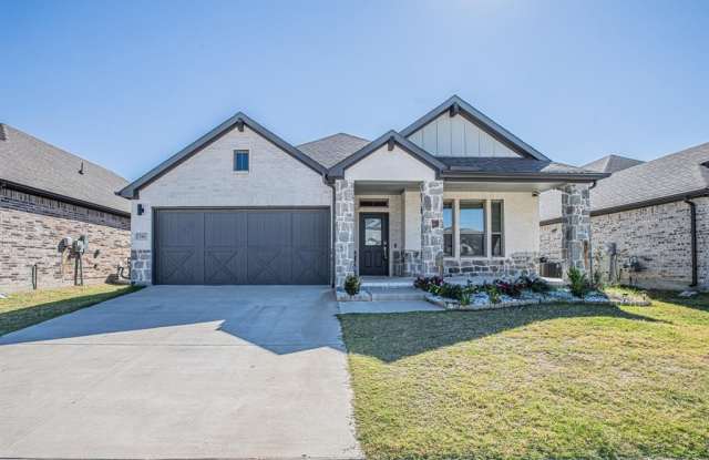 356 Brookview Drive - 356 Brookview Drive, Collin County, TX 75173