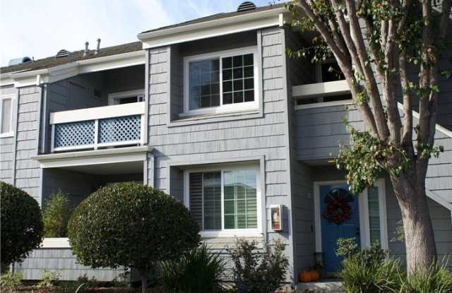 7311 Coho Drive photos photos