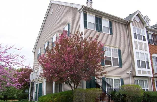 301 STRULL CT Gallery 2