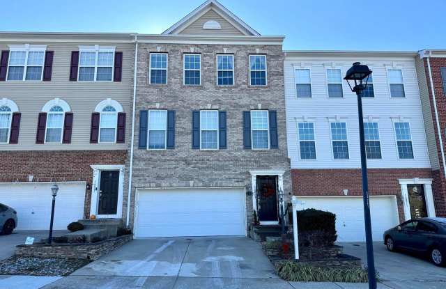 16069 PITNER Street - 16069 Pitner Street, Gainesville, VA 20169 16069 PITNER Street - 16069 Pitner Street, Gainesville, VA 20169