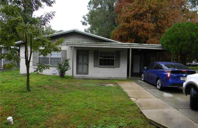 5115 CHILKOOT STREET - 5115 E Chilkoot Ave, Tampa, FL 33617