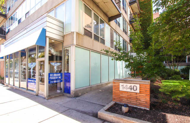 1440 S michigan Avenue - 1440 South Michigan Avenue, Chicago, IL 60605