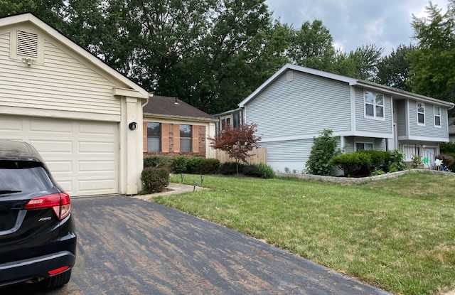 4031 Berrybush Drive Gallery 2