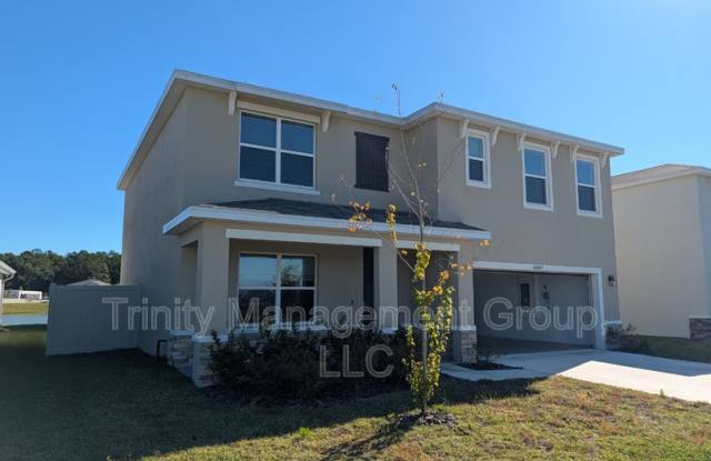 10607 Quail Grove Way - 10607 Quail Grove Way, Pasco County, FL 33576