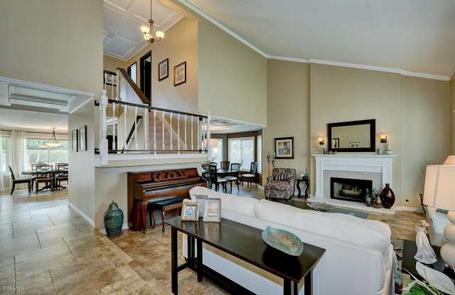 29014 Saddlebrook Drive Gallery 4