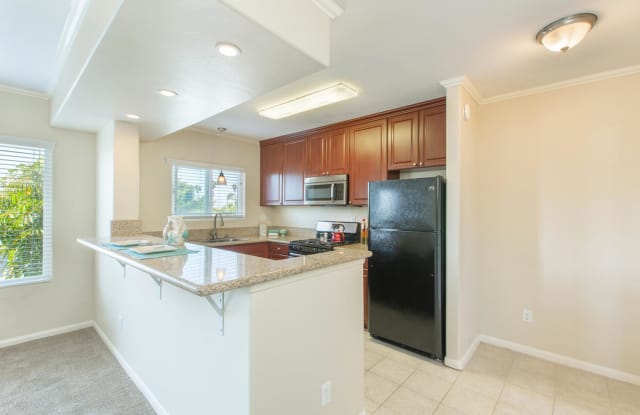 Elán Ocean Walk Apartment Homes Gallery 4