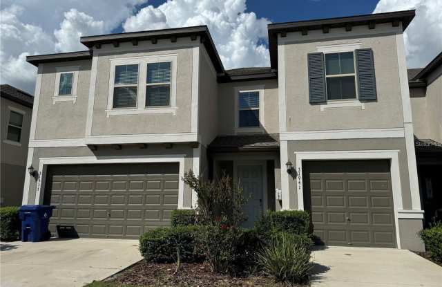 31941 BLUE PASSING LOOP - 31941 Blue Passing Loop, Wesley Chapel, FL 33545