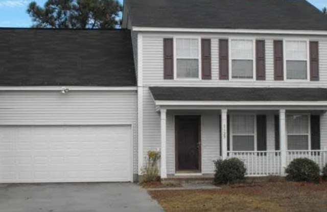 Completely remodeled gem located in the heart of Columbia, SC - 1129 Waverly Place Lane, Richland County, SC 29229