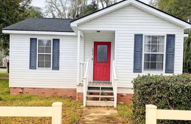 294 South McDonald Street - 294 South McDonald Street, Ludowici, GA 31316