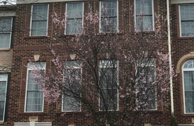 25830 TURLOUGH Terrace - 25830 Turlough Terrace, South Riding, VA 20152