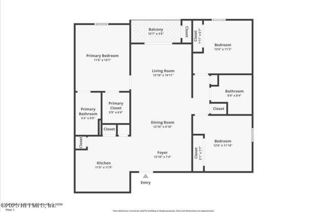 8201 Green Parrot #307 photos photos