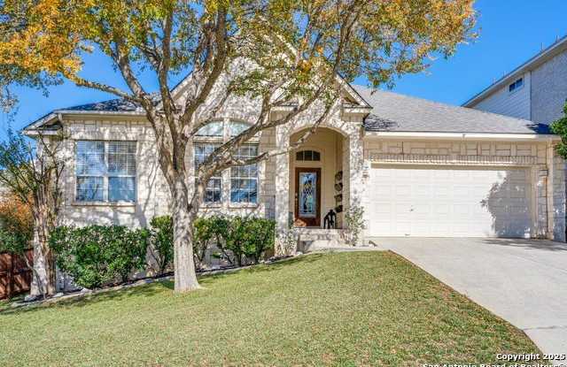 915 Treaty Oak photos photos