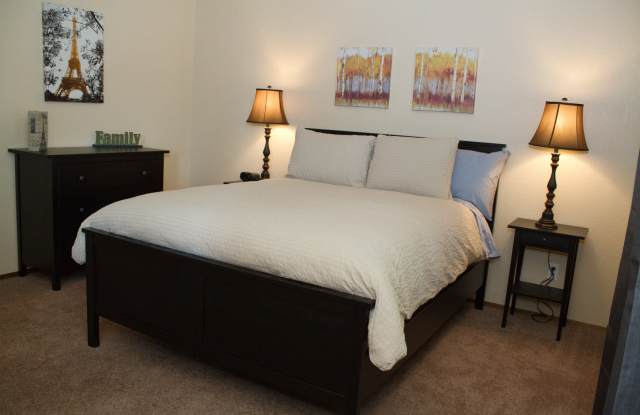 Spacious One Bedroom Gallery 3