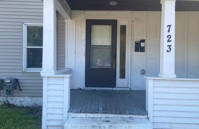 723 West Ganson Street - Lower - 723 West Ganson Street, Jackson, MI 49201
