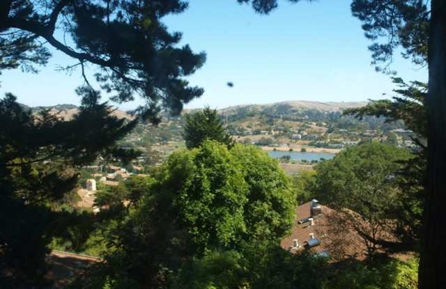 Pet Friendly Mill Valley Home w/ Hardwood floors and View - 87 California Avenue, Tamalpais-Homestead Valley, CA 94941