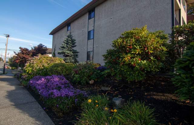 Spacious 1 bedroom 1 bathroom Condo in Downtown Everett! Gallery 1