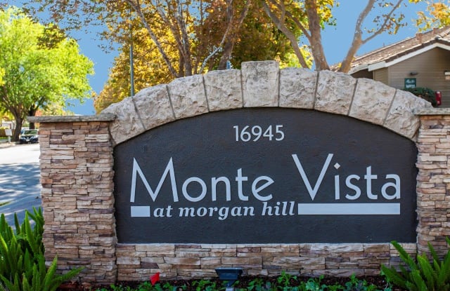 Monte Vista Apartments photos photos