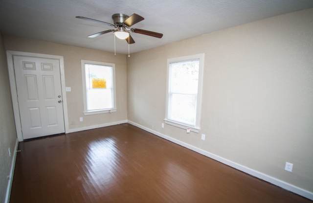 934 Poinsettia photos photos