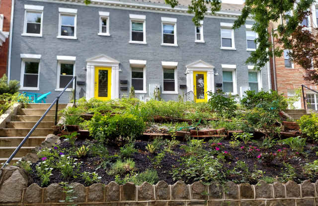 1203 Euclid Street NWApt #1 photos photos