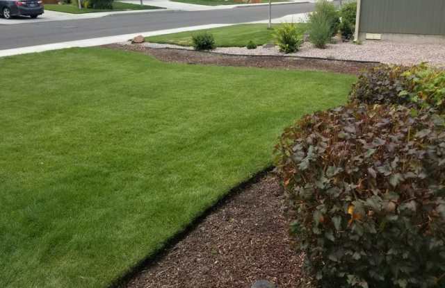 Great single level floor plan in nice neighborhood. Gorgeous yard, fully fenced. Gallery 3