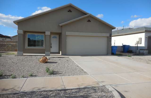 917 Jimson Weed Drive Gallery 1