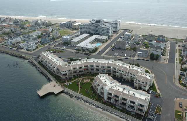 1503 Atlantic Ave photos photos