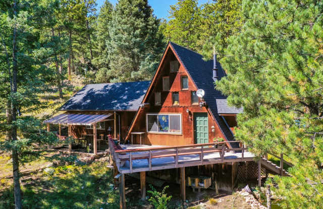 Backcountry Living - 913 Sioux Road, Teller County, CO 80816