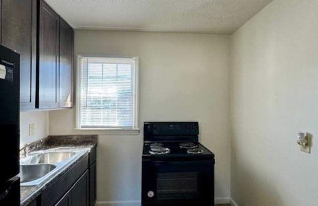 Two Bedroom Apartment for Rent Gallery 4