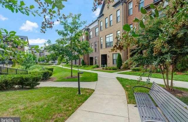 12258 SESSILE CMNS photos photos 12258 SESSILE CMNS photos photos