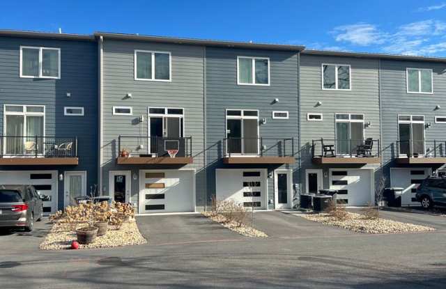 Modern Downtown Townhouse for Rent Gallery 3