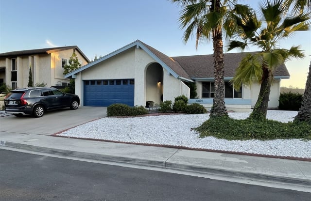10039 Canyontop Street - 10039 Canyontop Street, Spring Valley, CA 91977
