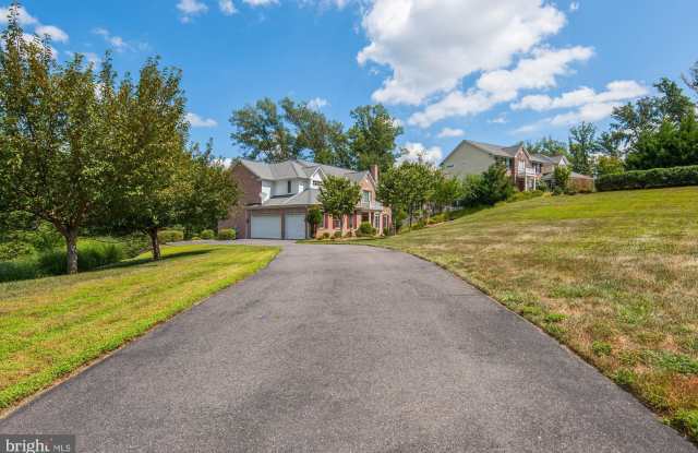 11454 MALLARD CREEK TRAIL Gallery 4