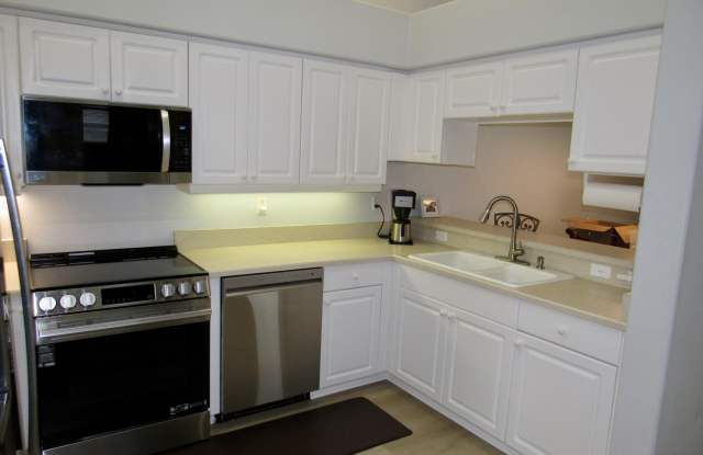 1419 Coconut Palm Circle Gallery 2