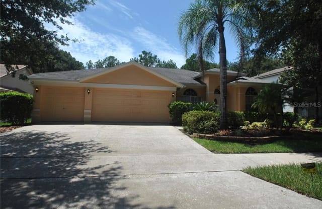 9315 POPLAR CREEK COURT - 9315 Poplar Creek Court, Tampa, FL 33647