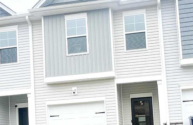 19 Apollo View Lane - 19 Apollo View Lane, Greenville County, SC 29607