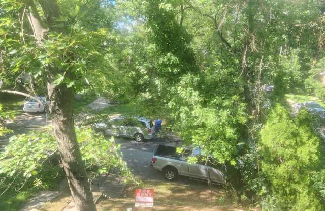 3817 BIRCHVIEW Avenue Gallery 2
