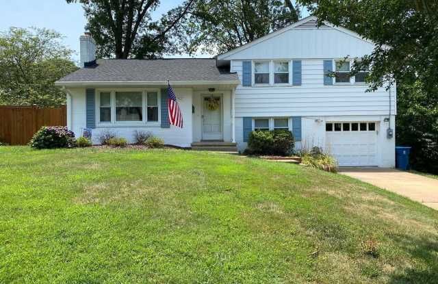 Show stopper photos photos