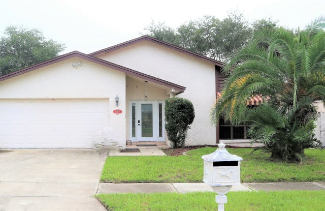 12613 Catamaran Pl - 12613 Catamaran Place, Carrollwood, FL 33618