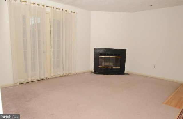 4704 DORSEY HALL Drive Gallery 4