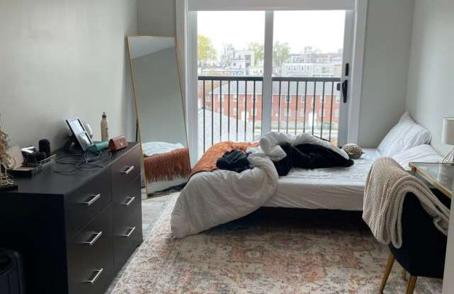Beautiful Southie apartment Gallery 4