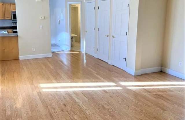 1647 North Clarkson Street  Unit #3 - 1 Gallery 4