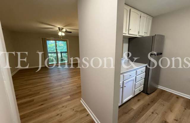 2-Bedroom Raintree Rental with Balcony, Pool & Water Included Gallery 4
