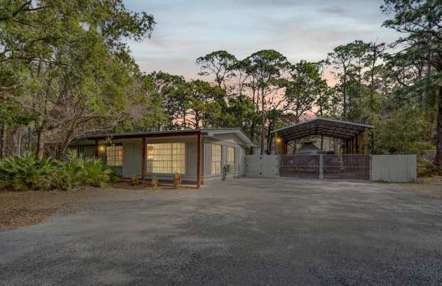 Dauphin Island Beauty photos photos