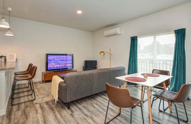 ZAZU photos photos ZAZU photos photos