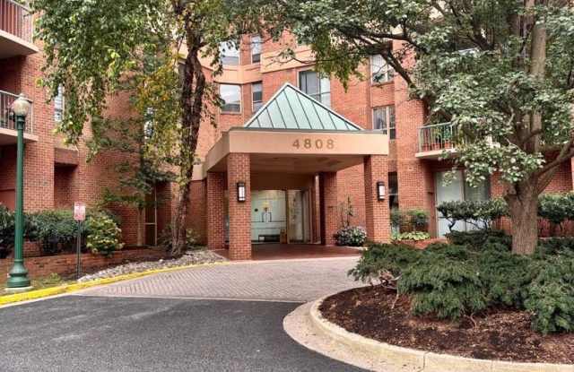 4808 MOORLAND LN #803 Gallery 1