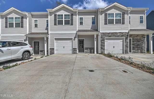 1020 Saylors Place Place - 1020 Saylors Place, Jonesborough, TN 37659