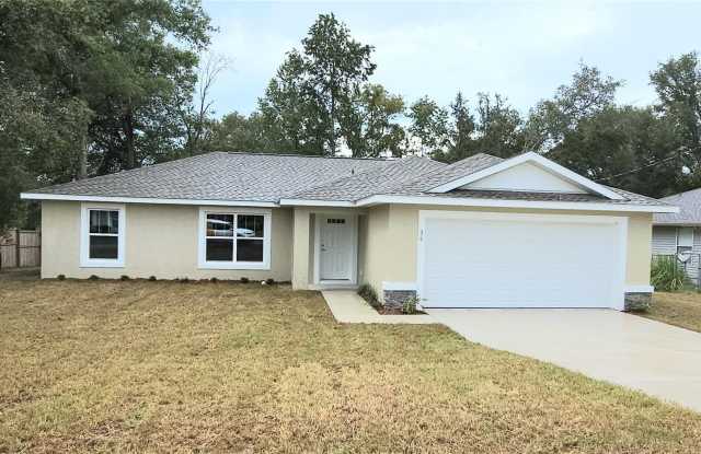 36 HEMLOCK RADIAL CIRCLE - 36 Hemlock Radial Circle, Marion County, FL 34472
